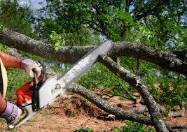 Best Leaf Removal  in Richland, PA