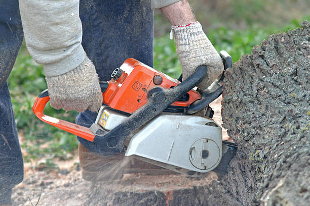 Best Pest Control for Lawns  in Richland, PA